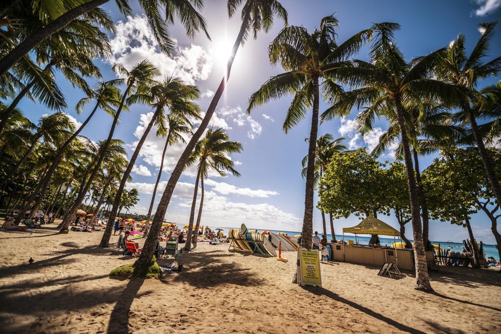 Mountain Views & Steps To Beach - Free Parking! Honolulu Exteriör bild
