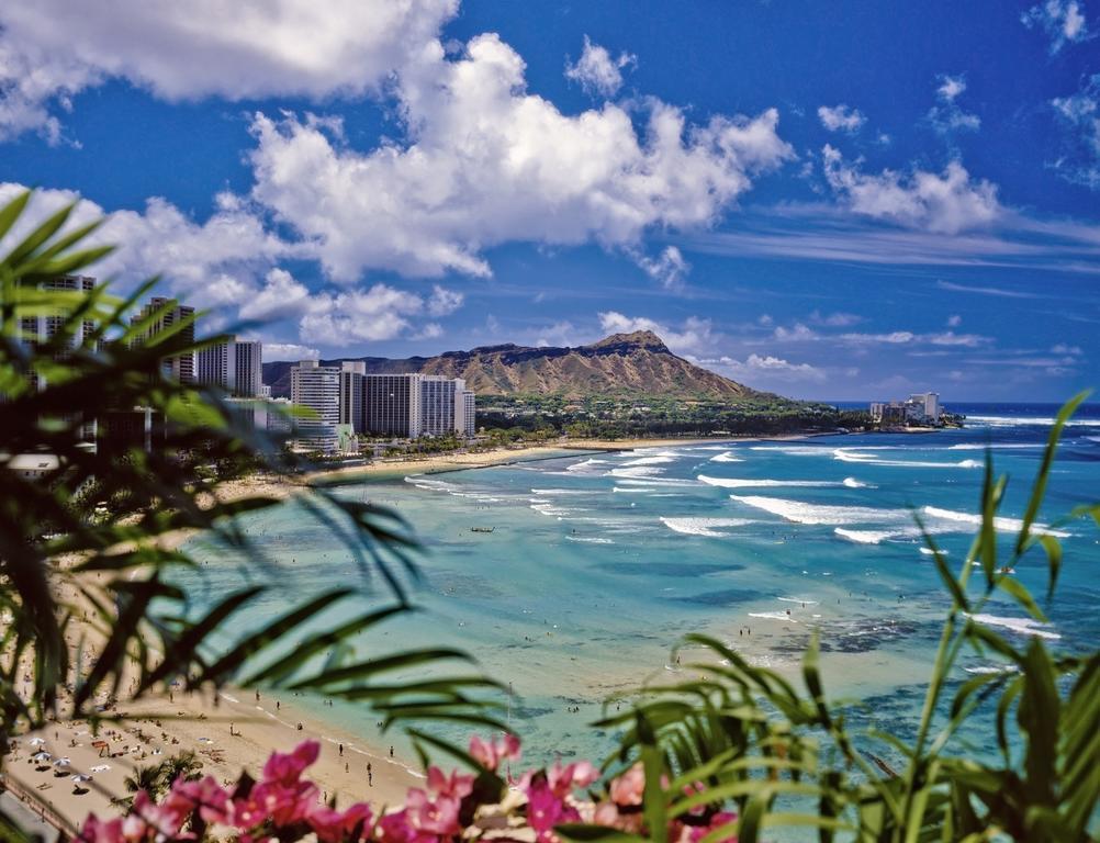 Mountain Views & Steps To Beach - Free Parking! Honolulu Exteriör bild